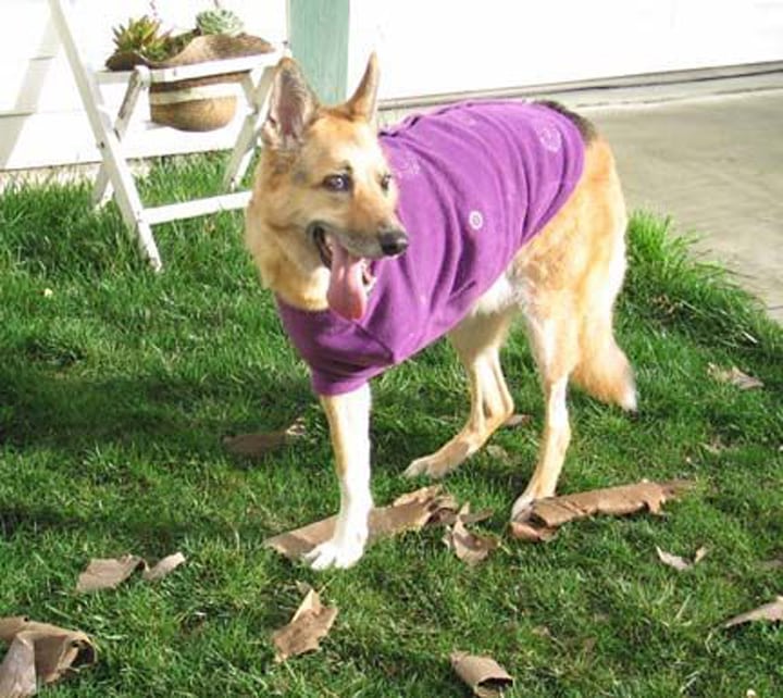 Fido Fleece Dog Coat Size Chart