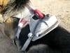 Ruff Wear Doubleback Dog Climbing Harness