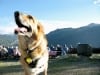 Jerry enjoys the view of Cinnamon Pass from the Vickers Ranch Gold Hill Steak Fry