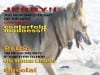 PlayPupMagazine features tripawd lover Jerry