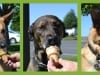 wordless-wednesday_op