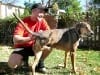 Jim meets three legged rock star dog Frankie