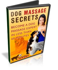 Beginners Guide To Nuru Massage