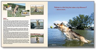 Preview Tripawd Heroes Pages on Blurb