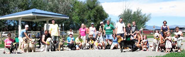 Tripawds Members Three Legged Dog Party