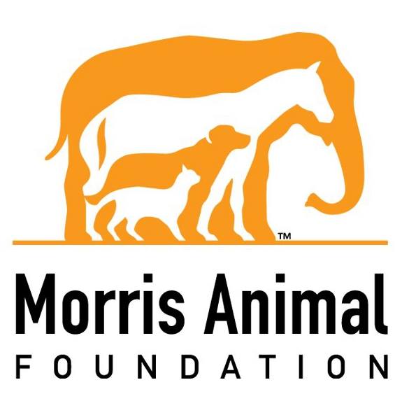 Morris Animal Foundation