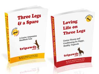 Get Tripawds E-books for fast help!