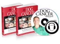 dog cancer survival kit