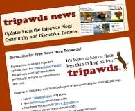 reipawds Newsletter