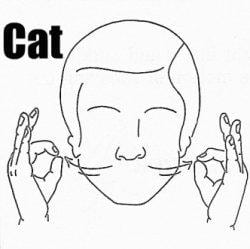 sign language cat