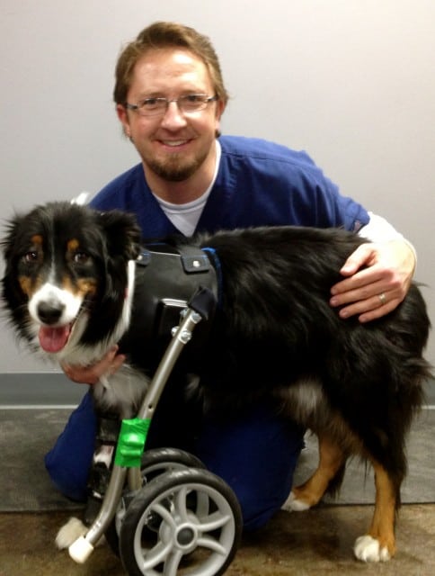 Kaufmann with Tripawd patient.