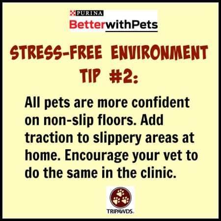 Purina #BetterWithPets Tips