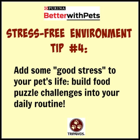 Purina #BetterWithPets Tips