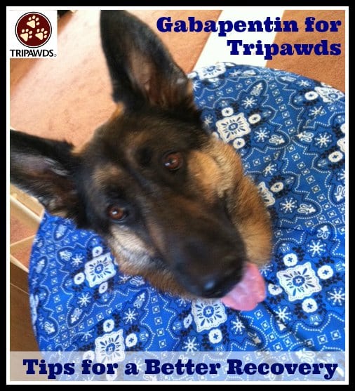 Gabapentin Tripawds