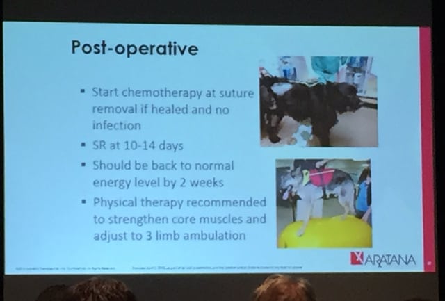 AAHA2016 osteosarcoma findings