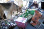 Jerry Digs All His Relay for Live Raffle Prizes