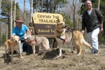 Three Legged Dog Party With Blind Chester on The Colorado Trail