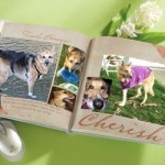 Jerry's Pet Memory Storybook
