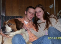 Saint Bernard Dog Sarah
