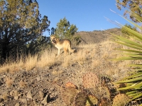 Hiking Naked at Three Rivers Campground