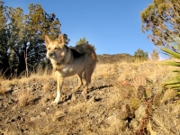 Hiking Naked at Three Rivers Campground