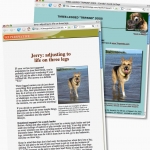 More Tripawd Press for Three Legged Dogs