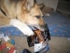 Lalla sent Jerry yummy treats!