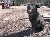 03. Buster hams it up for the camera