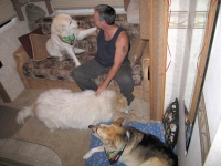 11. Jerry has a sleepover party with Hudson and murphy