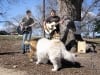 08. Jerry and Murphy Enjoy the Barenaked Band