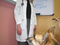 Dr. Mullins, Oncologist, Veterinary Cancer Care