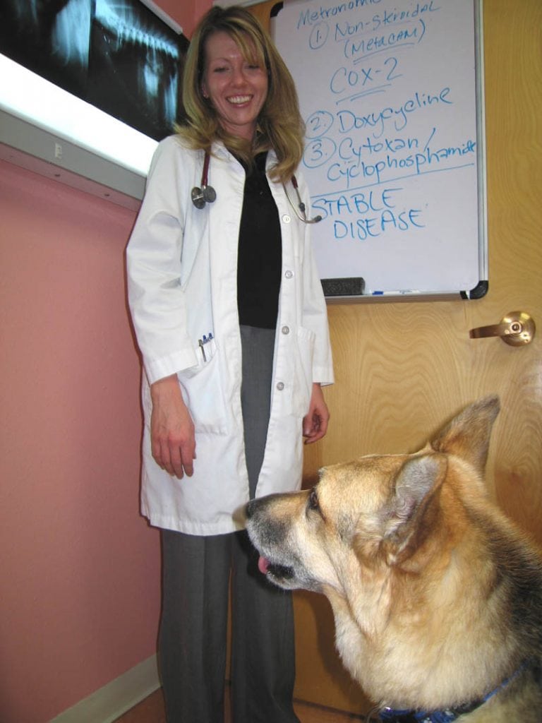 Canine Osteosarcoma: Lung Metastasis Treatments | Tripawds ...