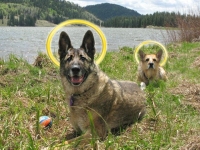 Angel Eisen and Spirit Jerry