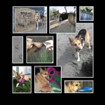 Digital_Scrapbook_sample5.jpg