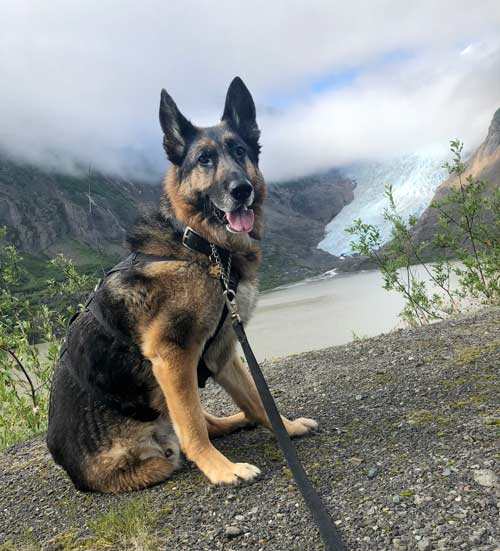 Wyatt at Glacier near Steart, BC and Hyder, Alaska