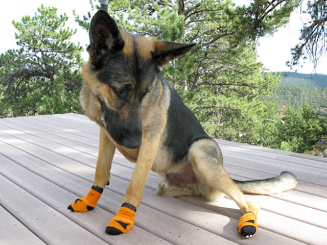 wyatt power paws dog tractrion socks on slippery deck
