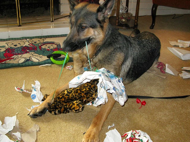 Wyatt Opens Christmas Presents