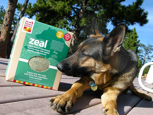 Wyatt Recommends Honest Kitchen Zeal Dehydrated Dog Food