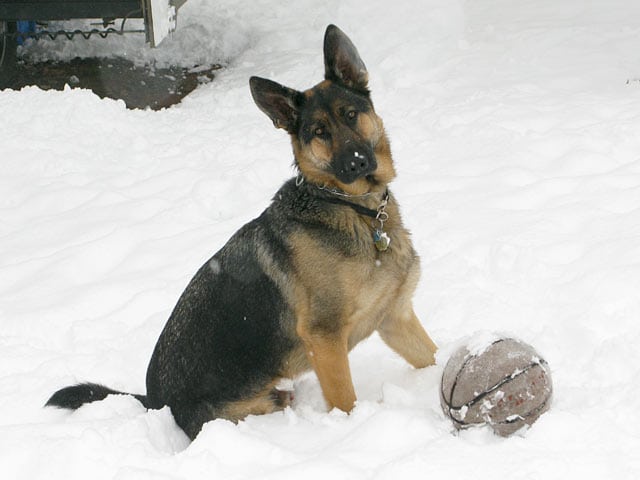 Spring Snow Day Fun for Wyatt