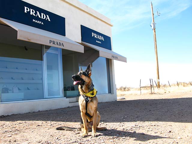 Prada Marfa