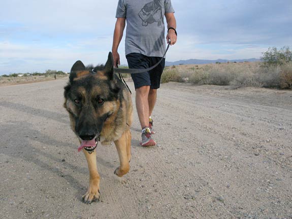 tripawds wyatt walks in desert