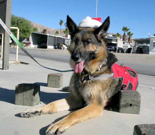 Wyatt rests after obstacle course walk.