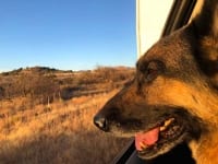 Wyatt on the road in Sedona, Arizona