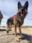 Wyatt at Wagon Wheel, Ridgecrest CA