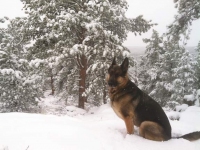 Wyatt in the Snow