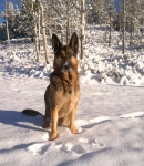 Wyatt in the Snow