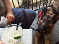 No margarita for Wyatt at Mad Taco