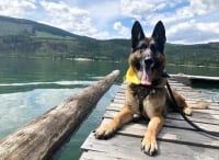 Camp Stewie at Arrow Lake, BC