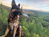 Wyatt at Tumbler Ridge in British Columbia