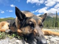 Wyatt enjoys camping at Petersen Creek in British Columbia